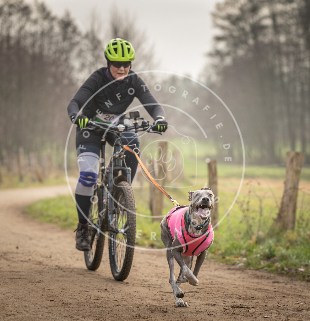 Pfotenfotografie_DV3A2057 | Hundefotografie, Tierfotograf, Pfotenfotografie, Fotoshooting Hund, Hunde Portrait, Hundesport, Hundeportraits, Heideshooting, Hunde, Sportfotograf, Hundefotograf, Turnierhundsport, THS,  - Realisiert mit Pictrs.com