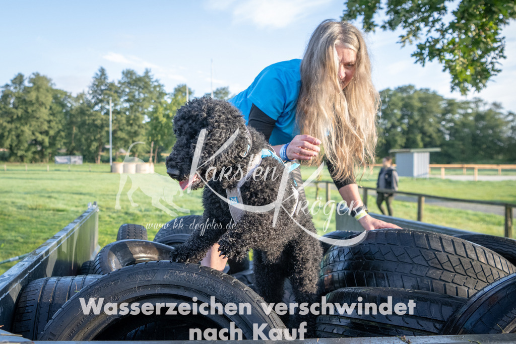 0825_ZZ91351 | kk-dogfotos