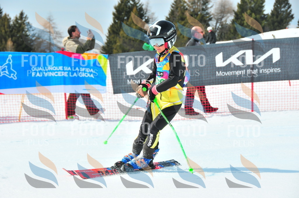 DSC_2942 | holidayphoto