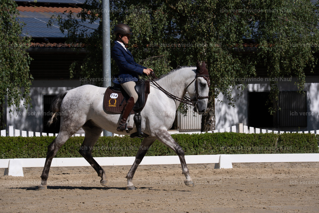 WL_DR_114_sinafilmart_IN06747 | working equitationturnier fotograf videograf stoibphotography marixx film working equitation deutschland reitsport turnierfotografie eventfotografie equestrian events