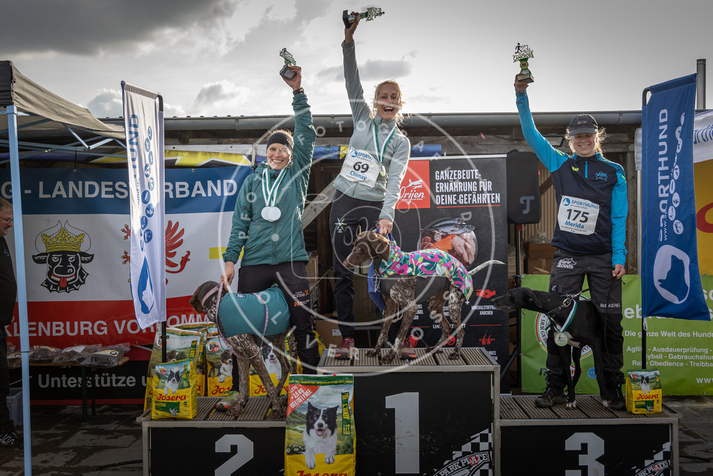 0L8A9256 | Hundefotografie, Tierfotograf, Pfotenfotografie, Fotoshooting Hund, Hunde Portrait, Hundesport, Hundeportraits, Heideshooting, Hunde, Sportfotograf, Hundefotograf, Turnierhundsport, THS,  - Realisiert mit Pictrs.com