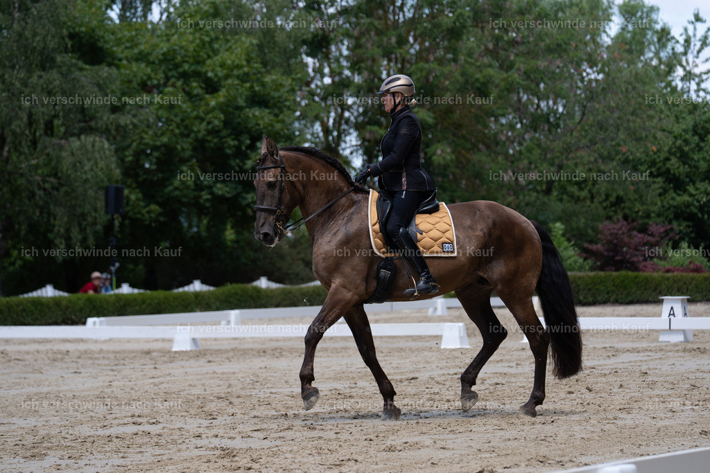 WS_DR_60_sinafilmart_IN02659 | working equitationturnier fotograf videograf stoibphotography marixx film working equitation deutschland reitsport turnierfotografie eventfotografie equestrian events