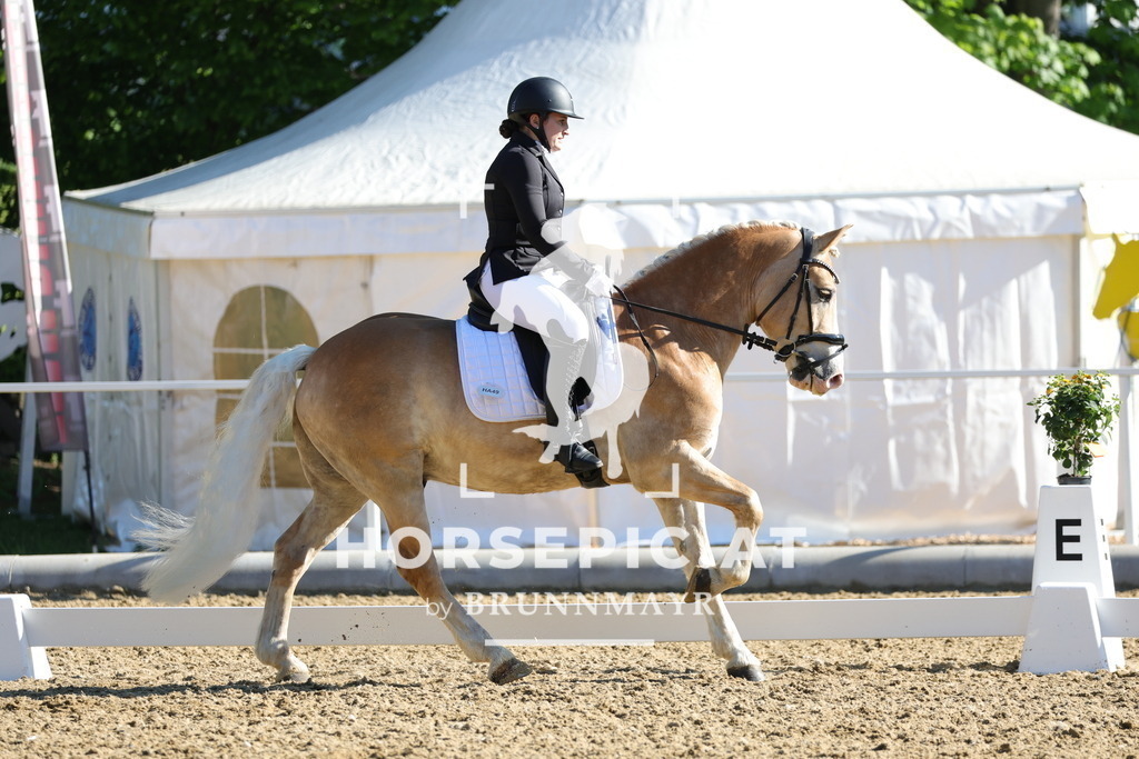 0P6A9360 | Willkommen bei Brunnmayr - Design & Fotografie – Ihrem Spezialisten für Reitturniere und Pferdeveranstaltungen in Oberösterreich, Salzburg und Bayern! Seit über 17 Jahren sind wir leidenschaftlich dabei.