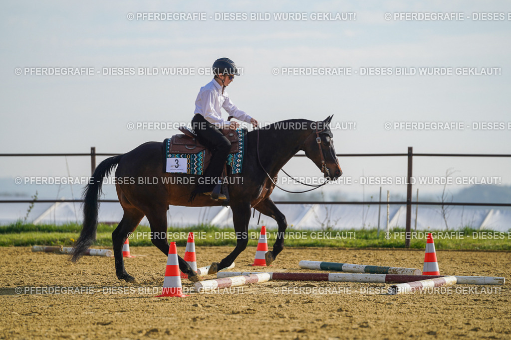 DSC00777 | Pferdegrafie