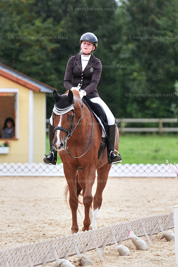3-210-Dressur M_-Marixx-1986 | working equitationturnier fotograf videograf stoibphotography marixx film working equitation deutschland reitsport turnierfotografie eventfotografie equestrian events