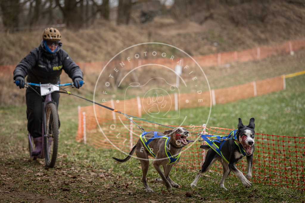 Pfotenfotografie_DV3A6649 | Hundefotografie, Tierfotograf, Pfotenfotografie, Fotoshooting Hund, Hunde Portrait, Hundesport, Hundeportraits, Heideshooting, Hunde, Sportfotograf, Hundefotograf, Turnierhundsport, THS,  - Realisiert mit Pictrs.com