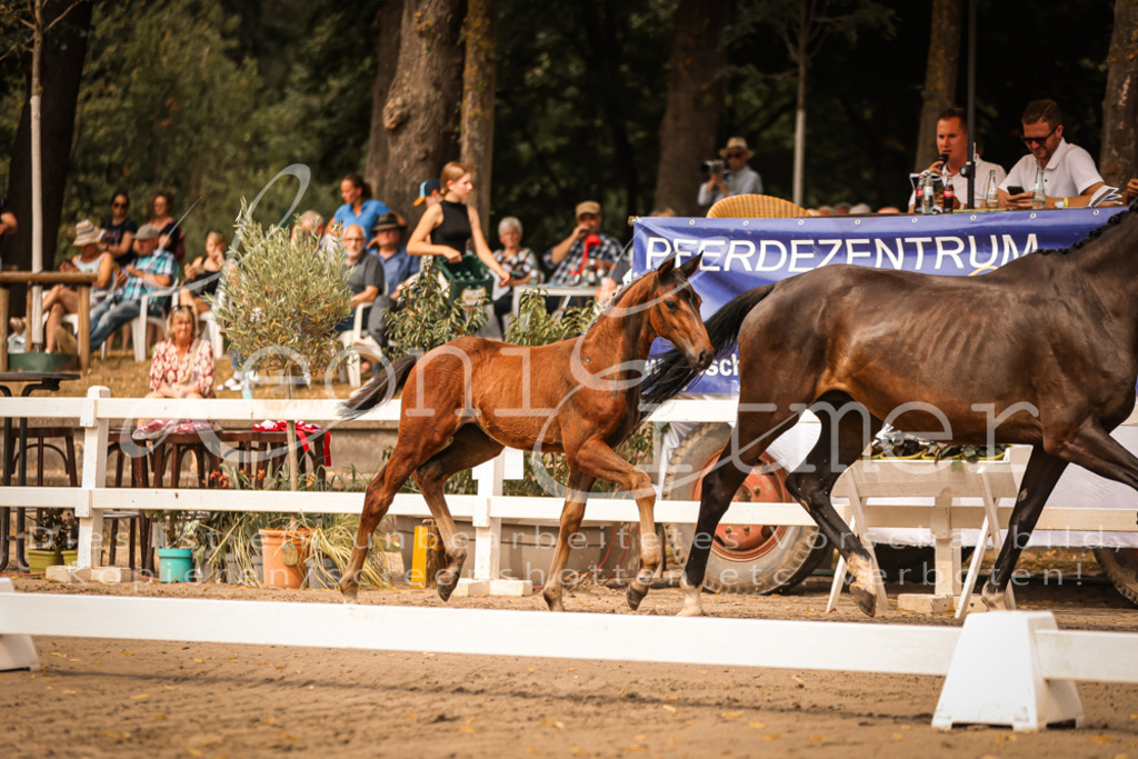 SaPA00110 | Leoni Ertmer Photography - Realisiert mit Pictrs.com