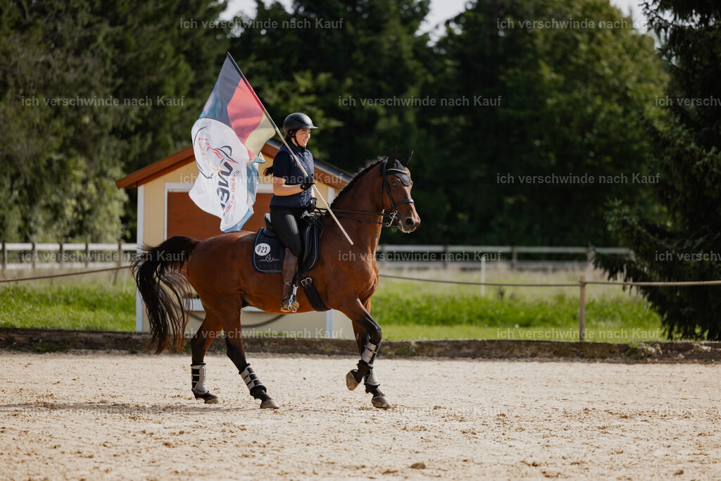 Nadine22_FHC2025-159 | working equitationturnier fotograf videograf stoibphotography marixx film working equitation deutschland reitsport turnierfotografie eventfotografie equestrian events