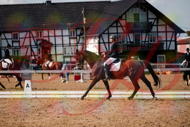 2026_10_03_Siefer-Hof_130338_Z63_65828782 | Professionelle Reitsport-, Turnier- und Eventfotografie von Robert Broda. Galerien mit ausgewählten und bearbeiteten Bildern direkt online ansehen und bestellen.
