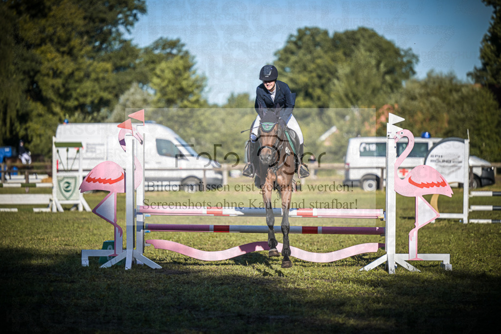 DOS_0304 | Entdecke hochwertige Reitturnierfotos von Foto Oger. Professionell, emotional und authentisch – jetzt Lieblingsmomente im Shop bestellen.Deutschlandweite Turnierfotografie. - Realisiert mit Pictrs.com