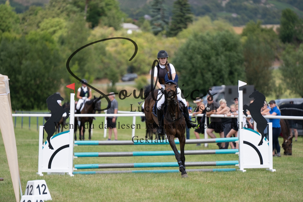 A7V00223 | Pferdefotograf