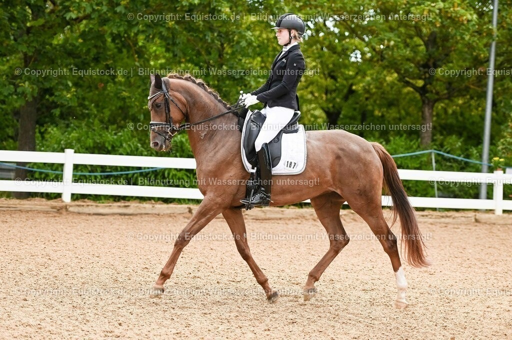 20230715_07_Dressurpferdeprfg. Kl.L_0047 | equistock