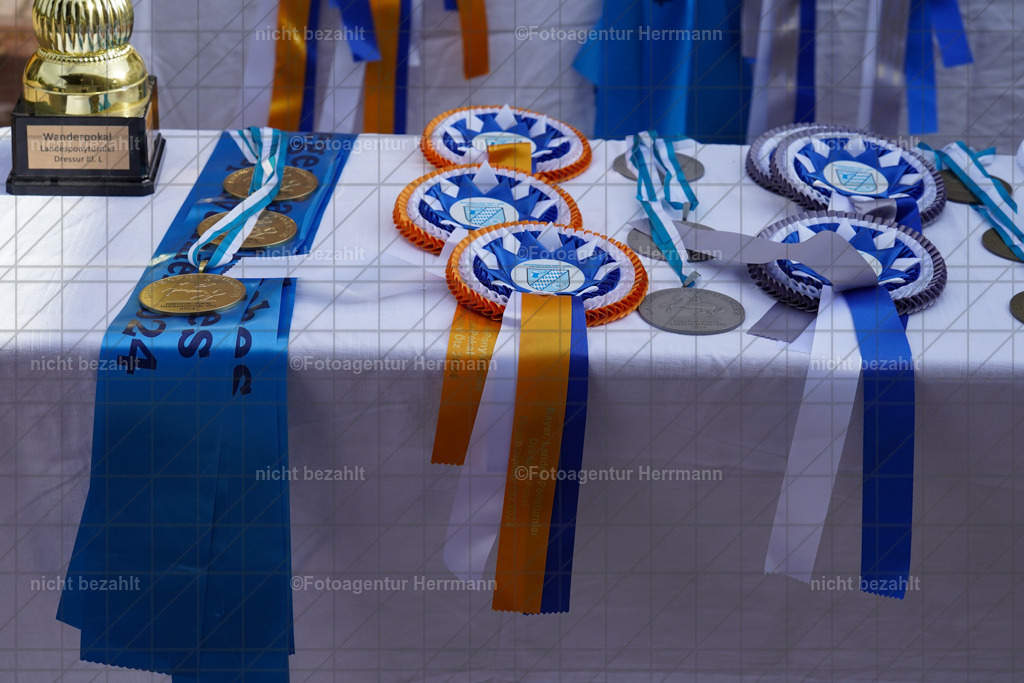 20240825-FAH00428 | Turnierbilder, Reitsportfotos, LAPO, Landesponyturnier, Turnierfotografen Bayern