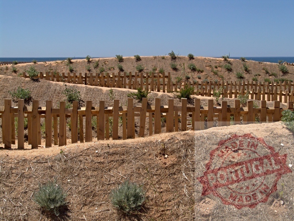 Wooden fence protecting dune vegetation facing ocean | Dune restoration project with new plants behind a wooden fence along the coast - Realized with Pictrs.com