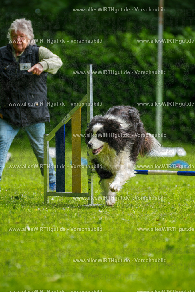 @allesWIRTHgut_Tierfotografie - www.allesWIRTHgut.de - 093644-7R507374 | Professionelle Tierfotografie in Mönchengladbach von Daniel Wirth (allesWIRTHgut). Liebevolle & natürliche Bilder von Hunden & Katzen für unvergessliche Erinnerungen.
