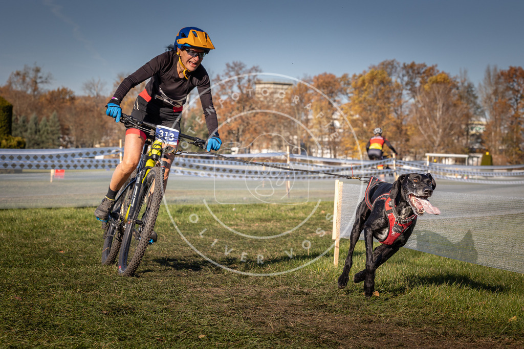CaniXpix_0L8A5627 | Hundefotografie, Tierfotograf, Pfotenfotografie, Fotoshooting Hund, Hunde Portrait, Hundesport, Hundeportraits, Heideshooting, Hunde, Sportfotograf, Hundefotograf, Turnierhundsport, THS,  - Realisiert mit Pictrs.com