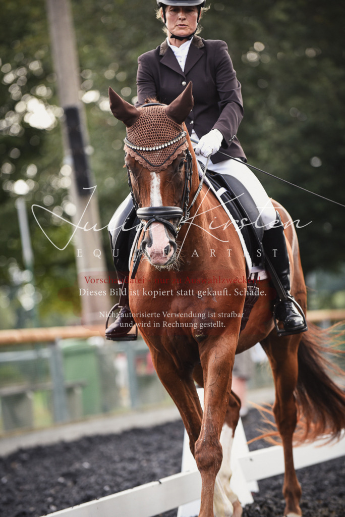 DSC_3990 | Pferde- und Turnierfotografie in Westsachsen. Pferdeportraits, Auftragszeichnungen und intuitive Kunst.