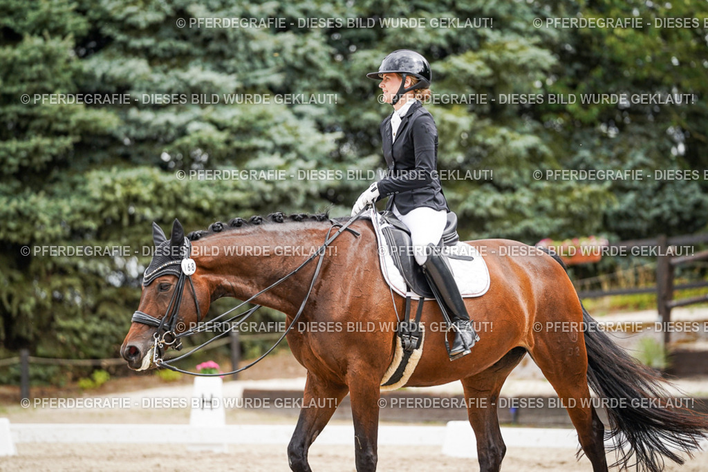 DSC04570 | Pferdegrafie