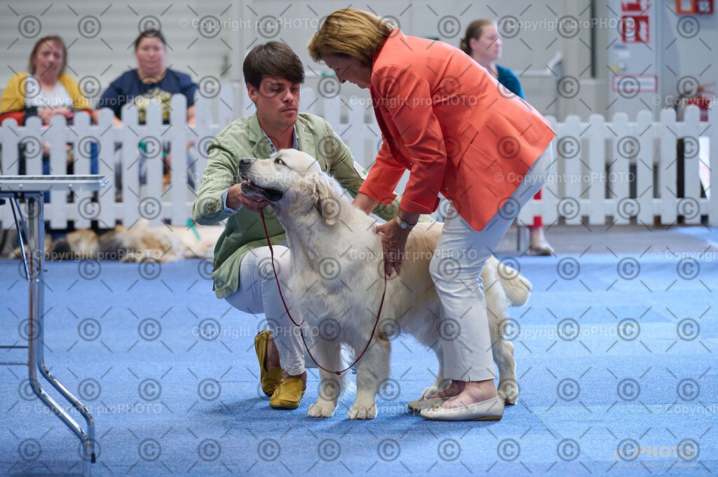 202406_ÖKV-IHA-Tulln24_DSC_5352 | proPHOTO - Realisiert mit Pictrs.com