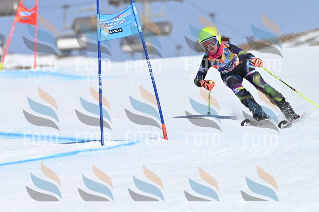 BGV_9843 | holidayphoto