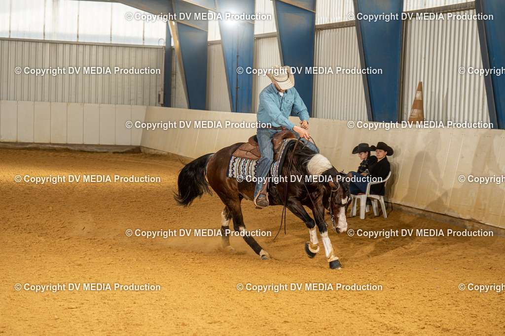 MIT01289 | dv-media-shop - Realisiert mit Pictrs.com