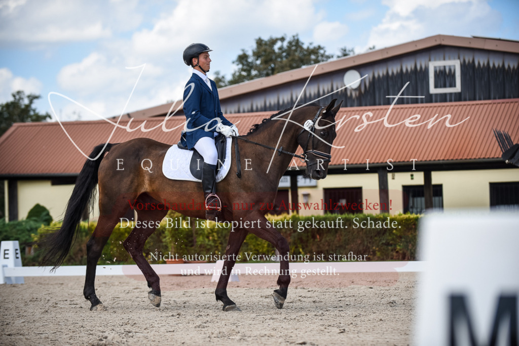 DSC_9181 | Pferde- und Turnierfotografie in Westsachsen. Pferdeportraits, Auftragszeichnungen und intuitive Kunst.