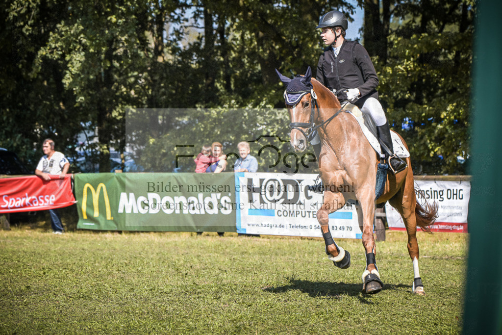 DOS_0049 | Entdecke hochwertige Reitturnierfotos von Foto Oger. Professionell, emotional und authentisch – jetzt Lieblingsmomente im Shop bestellen.Deutschlandweite Turnierfotografie. - Realisiert mit Pictrs.com