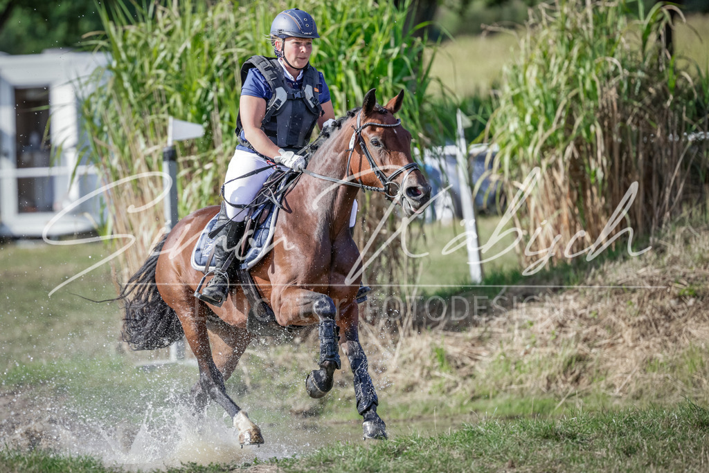 20250906-_3LI7155 | Tierfotografie Pferde, Hunde, Katzen, Haustiere.
Turnierfotografie Reitturniere, Reiten, Springreiten, Dressur in Hanau, dem Main-Kinzig-Kreis und dem Rhein-Main- Gebiet um Frankfurt