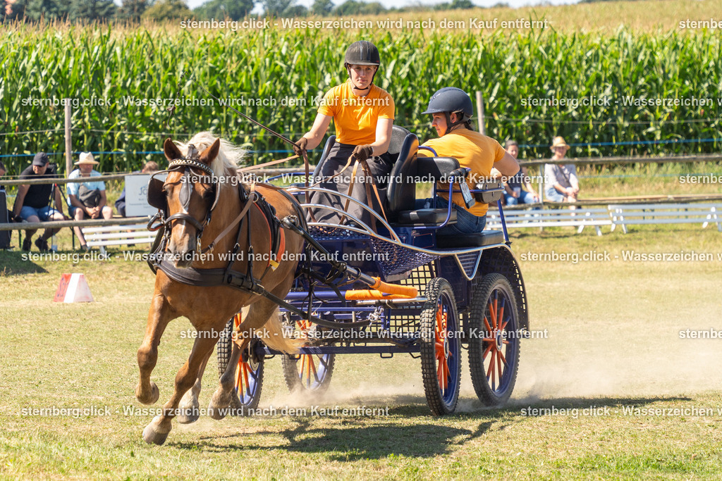 2026-08-09_11-25-01_WBO_Pulsnitz | sternberg.click - Realisiert mit Pictrs.com