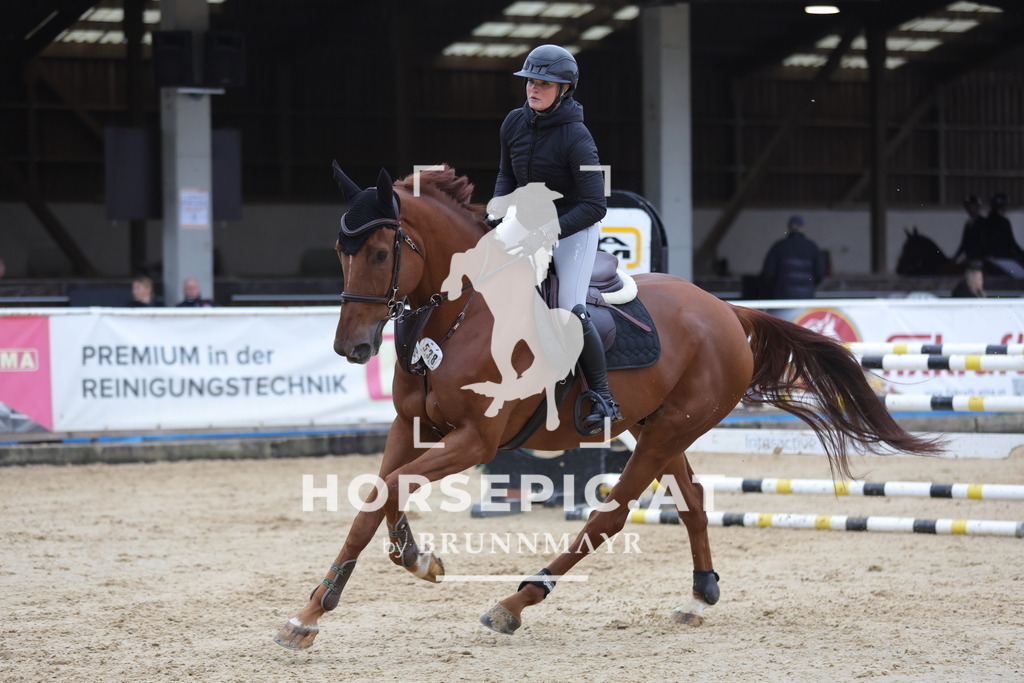 0P6A6407 | Willkommen bei Brunnmayr - Design & Fotografie – Ihrem Spezialisten für Reitturniere und Pferdeveranstaltungen in Oberösterreich, Salzburg und Bayern! Seit über 17 Jahren sind wir leidenschaftlich dabei.