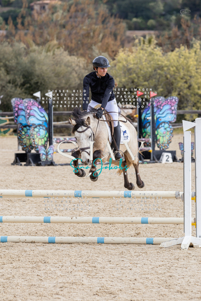 IMG_4635 | s-jay-photography - Realisiert mit Pictrs.com