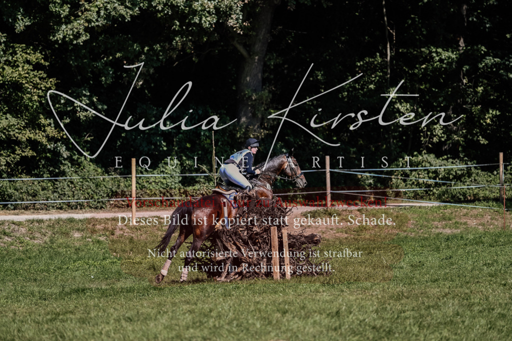 DSC_1857 | Pferde- und Turnierfotografie in Westsachsen. Pferdeportraits, Auftragszeichnungen und intuitive Kunst.