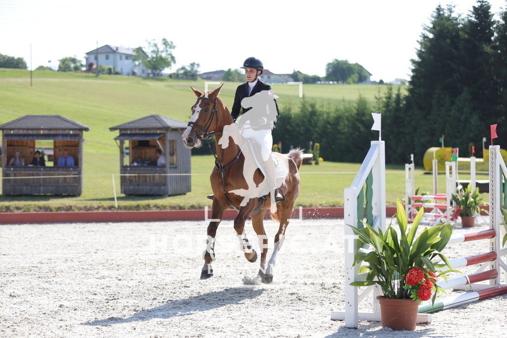 0P6A7588 | Willkommen bei Brunnmayr - Design & Fotografie – Ihrem Spezialisten für Reitturniere und Pferdeveranstaltungen in Oberösterreich, Salzburg und Bayern! Seit über 17 Jahren sind wir leidenschaftlich dabei.