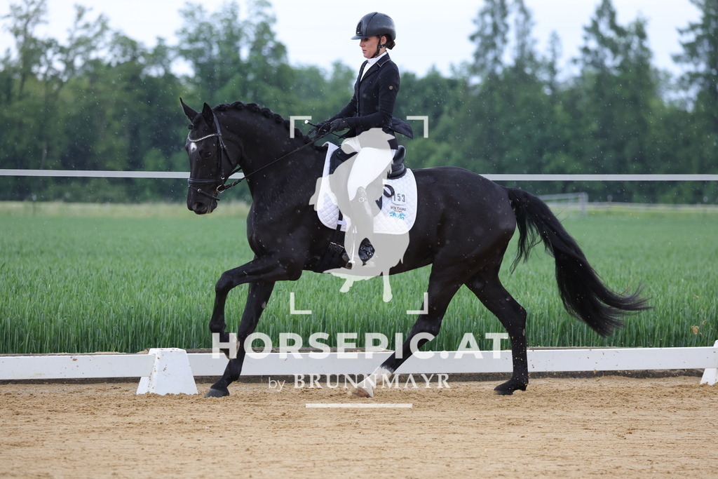 0P6A3986 | Willkommen bei Brunnmayr - Design & Fotografie – Ihrem Spezialisten für Reitturniere und Pferdeveranstaltungen in Oberösterreich, Salzburg und Bayern! Seit über 17 Jahren sind wir leidenschaftlich dabei.