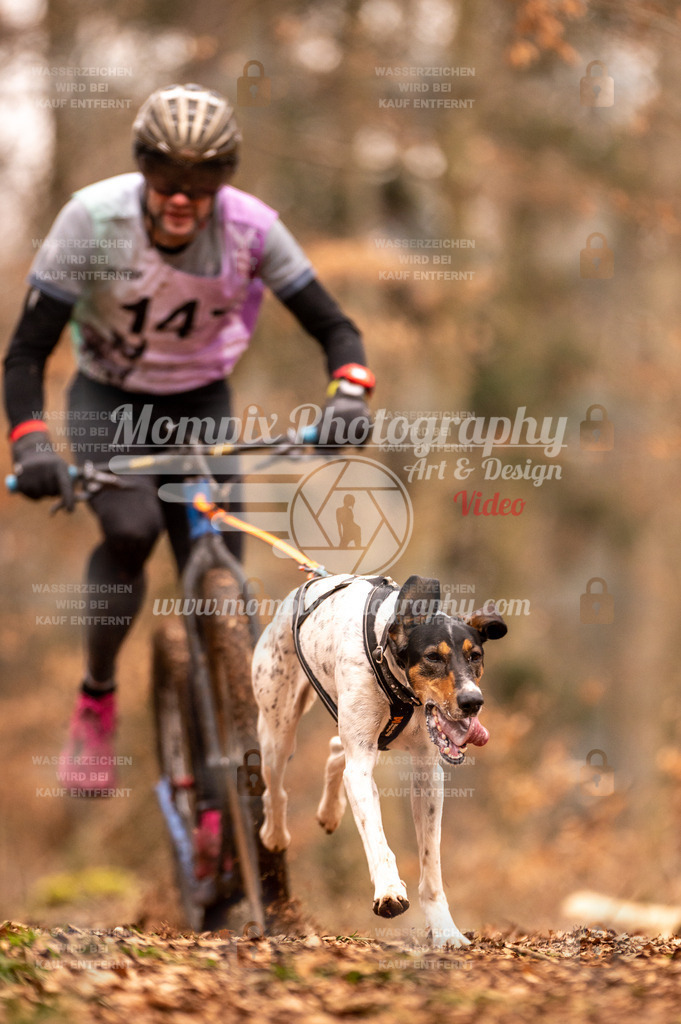 AKM_ST_2023_SAM_Scooter-1 | PayLife