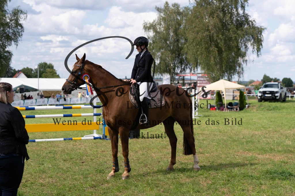 A7V04788 | Pferdefotograf