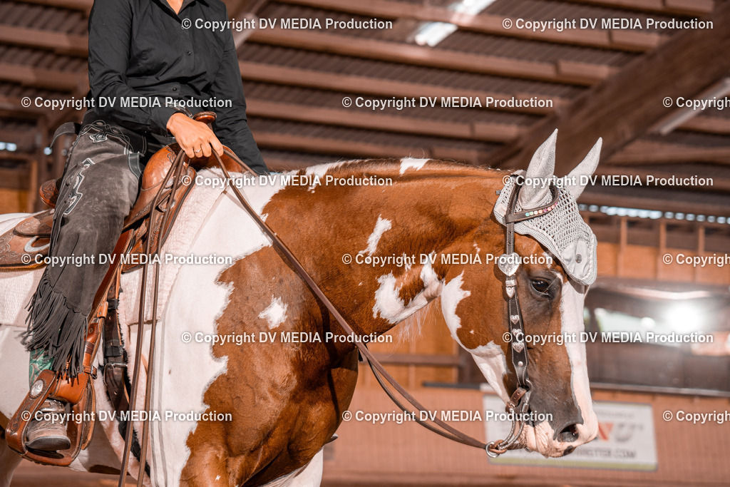 NE100812 | dv-media-shop - Realisiert mit Pictrs.com