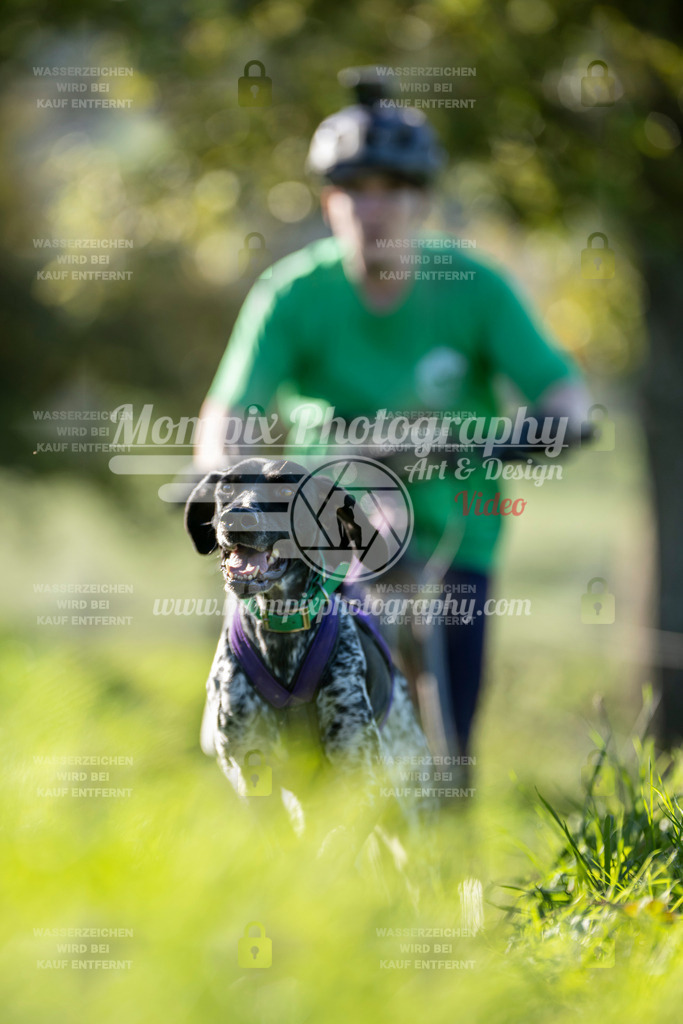 MompixPhotography_20TSB_E3_DS2-17 | PayLife