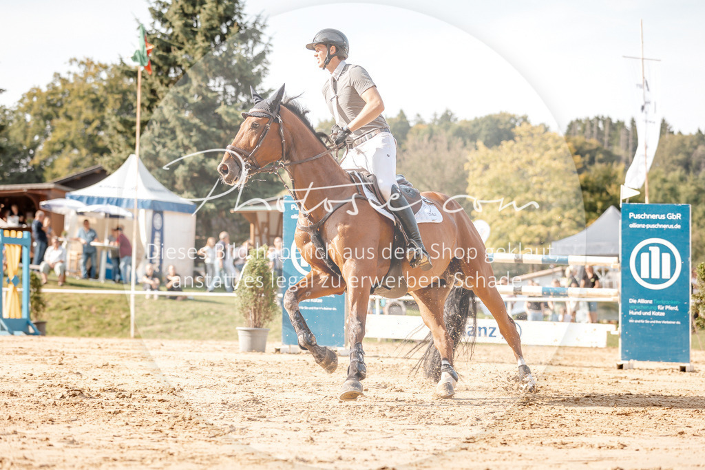 3I6A4928 | Stimmungsvolle Portraits und Reitsportfotografie im Ruhrgebiet und im Münsterland.

Pferdefotografie, Hundefotografie, Tierfotografie, Reportagen, Portraits von Tier und Mensch, Turnierfotografie in Bochum, Recklinghausen, Marl, Haltern am See, Dülmen.. - Realisiert mit Pictrs.com