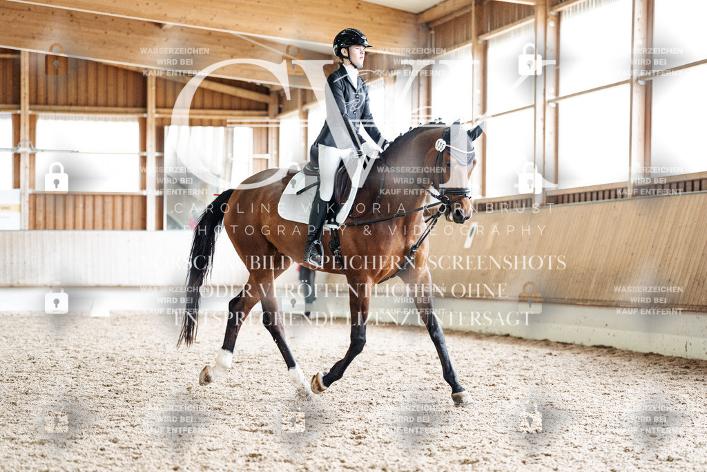 CK900686 | Turnierfotografie Pferdefotografie Trier Rheinland-Pfalz Pferdesport Reitsport Tierfotografie Sportfotografie Pferdevideo Pferdevideografie Equestrianvideography equestrianphotography  - Realisiert mit Pictrs.com