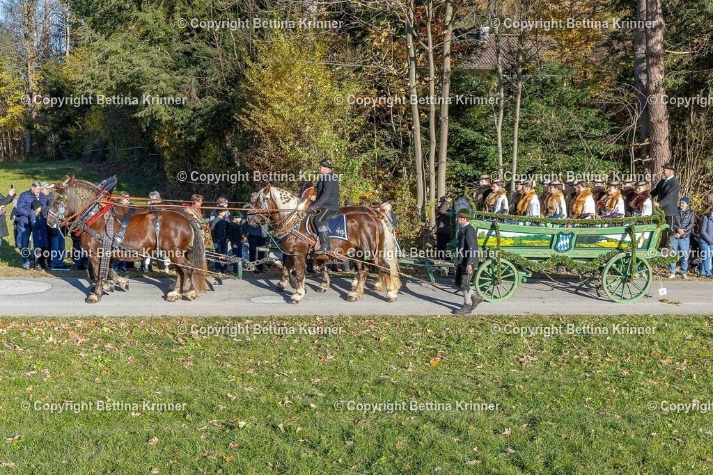 LBT25-126 | foto-bettina-krinner - Realisiert mit Pictrs.com