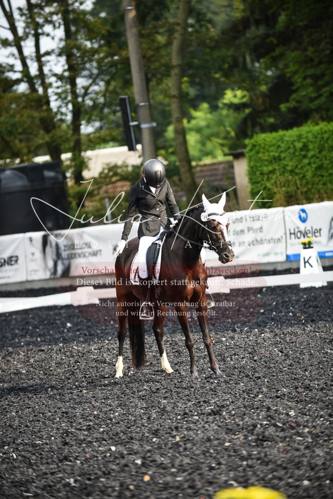 DSC_3417 | Pferde- und Turnierfotografie in Westsachsen. Pferdeportraits, Auftragszeichnungen und intuitive Kunst.