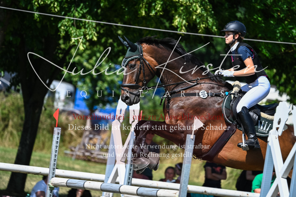 DSC_1591 | Pferde- und Turnierfotografie in Westsachsen. Pferdeportraits, Auftragszeichnungen und intuitive Kunst.