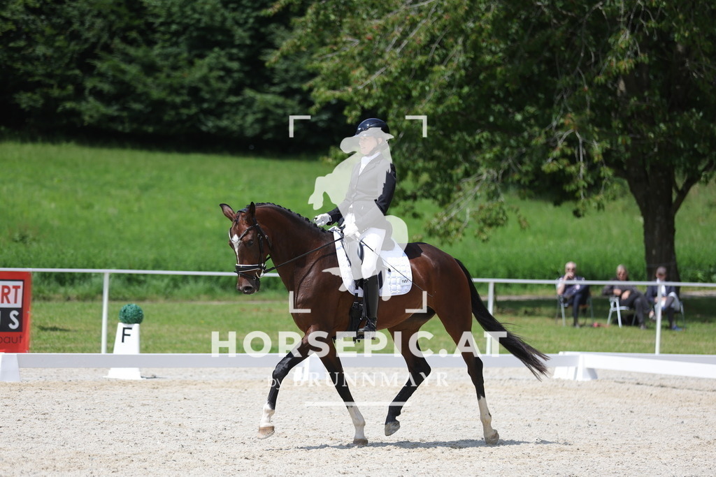 0P6A0297 | Willkommen bei Brunnmayr - Design & Fotografie – Ihrem Spezialisten für Reitturniere und Pferdeveranstaltungen in Oberösterreich, Salzburg und Bayern! Seit über 17 Jahren sind wir leidenschaftlich dabei.