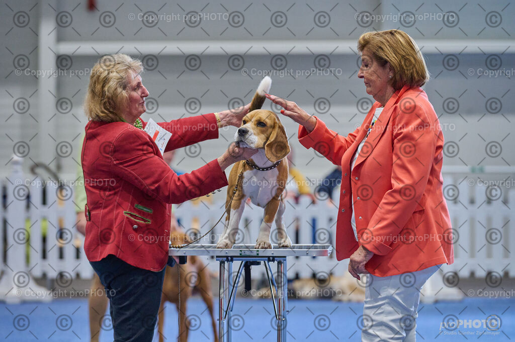 202406_ÖKV-IHA-Tulln24_DSC_5342 | proPHOTO - Realisiert mit Pictrs.com