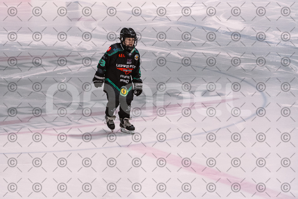 Alligators_vs_Bayreuth_16_01_2026-16 | Höchstadt Alligators Fotogalerie: Eishockey-Action aus Franken. Professionelle Spielfotos, Portraits & Stadionbilder zum Download. Jetzt entdecken! - Realized with Pictrs.com