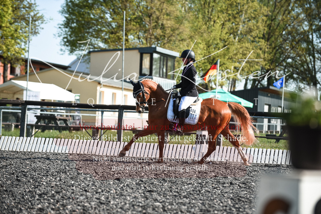 DSC_8432 | Pferde- und Turnierfotografie in Westsachsen. Pferdeportraits, Auftragszeichnungen und intuitive Kunst.