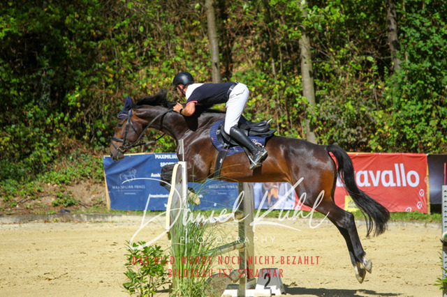 DKP43312 | Turniersportfotografie; Pferdefotografie; Dressurfotografie