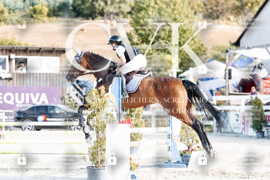 CK909425 | Turnierfotografie Pferdefotografie Trier Rheinland-Pfalz Pferdesport Reitsport Tierfotografie Sportfotografie Pferdevideo Pferdevideografie Equestrianvideography equestrianphotography  - Realisiert mit Pictrs.com