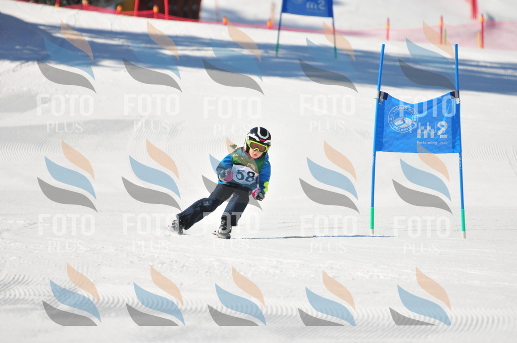 C2173 | holidayphoto